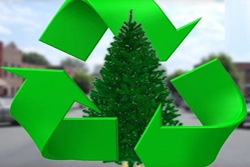 Tree and holiday waste recycling underway now through Jan. 31