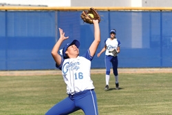 Baseball, softball teams still in playoffs