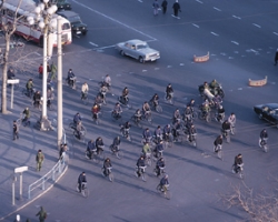 Cyclists criticize cops regarding Culver City collision