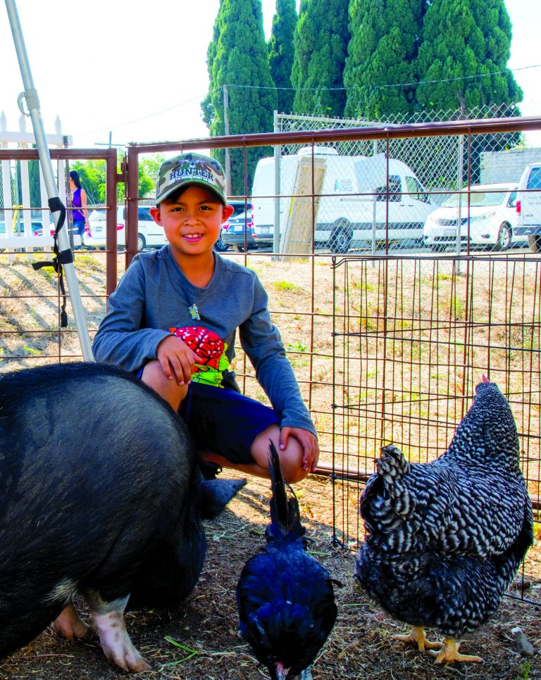 26th annual Children’s Art Festival brings community of families together